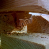Монтаж бани из деревянного сруба