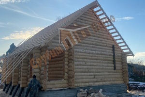 Проекты декабря 2024